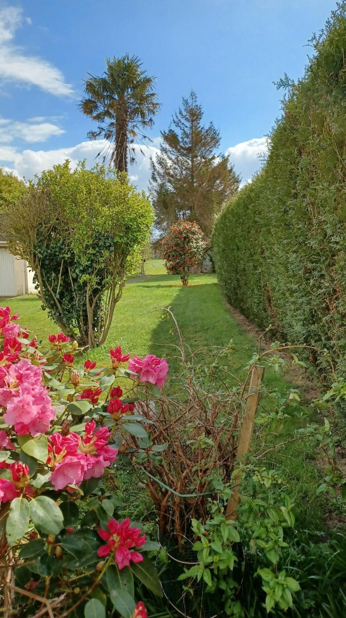 La Bretagne Ca Vous Gagne Villa Ploufragan Esterno foto